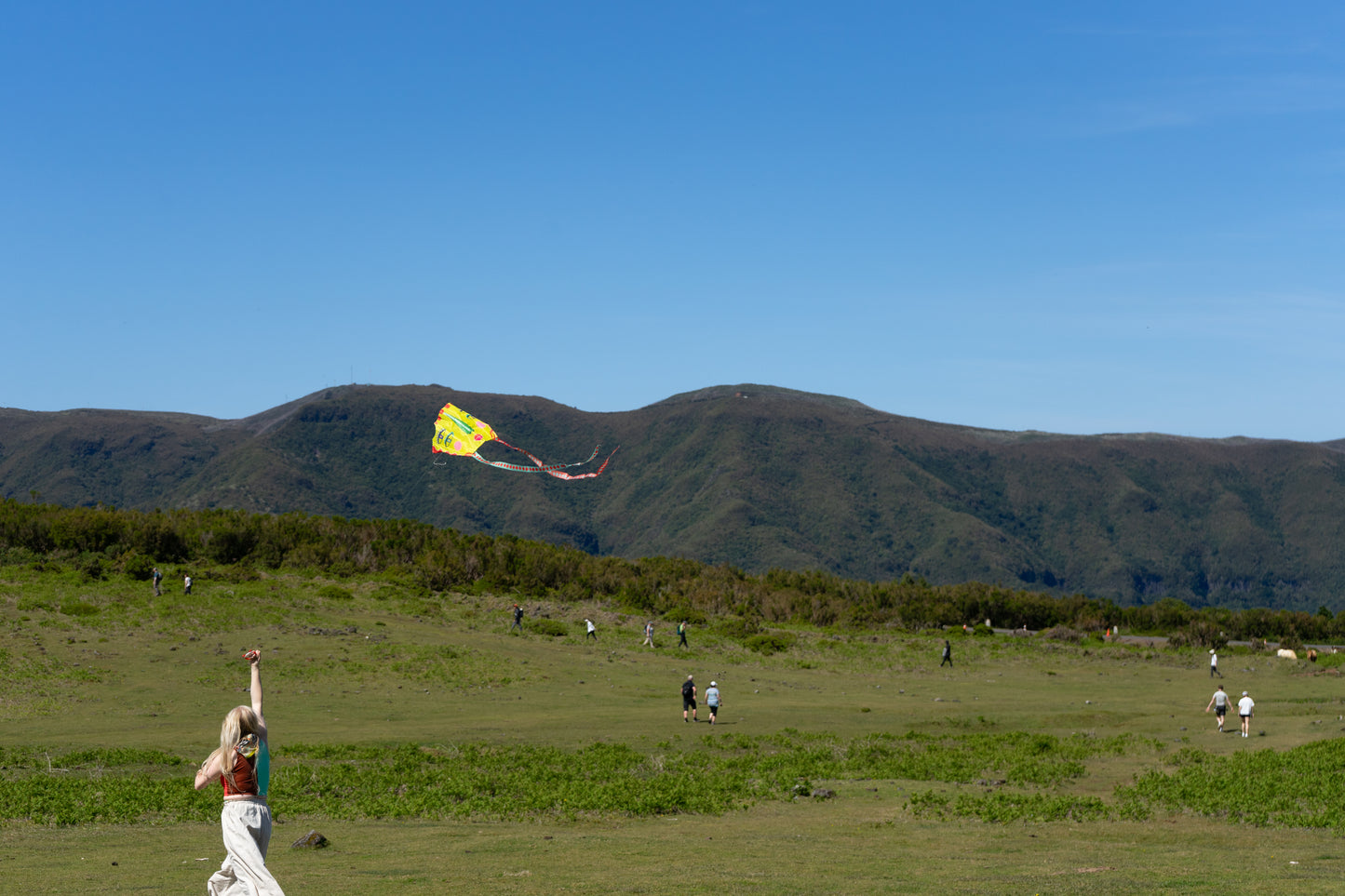 POCKET KITE / SKY SEER