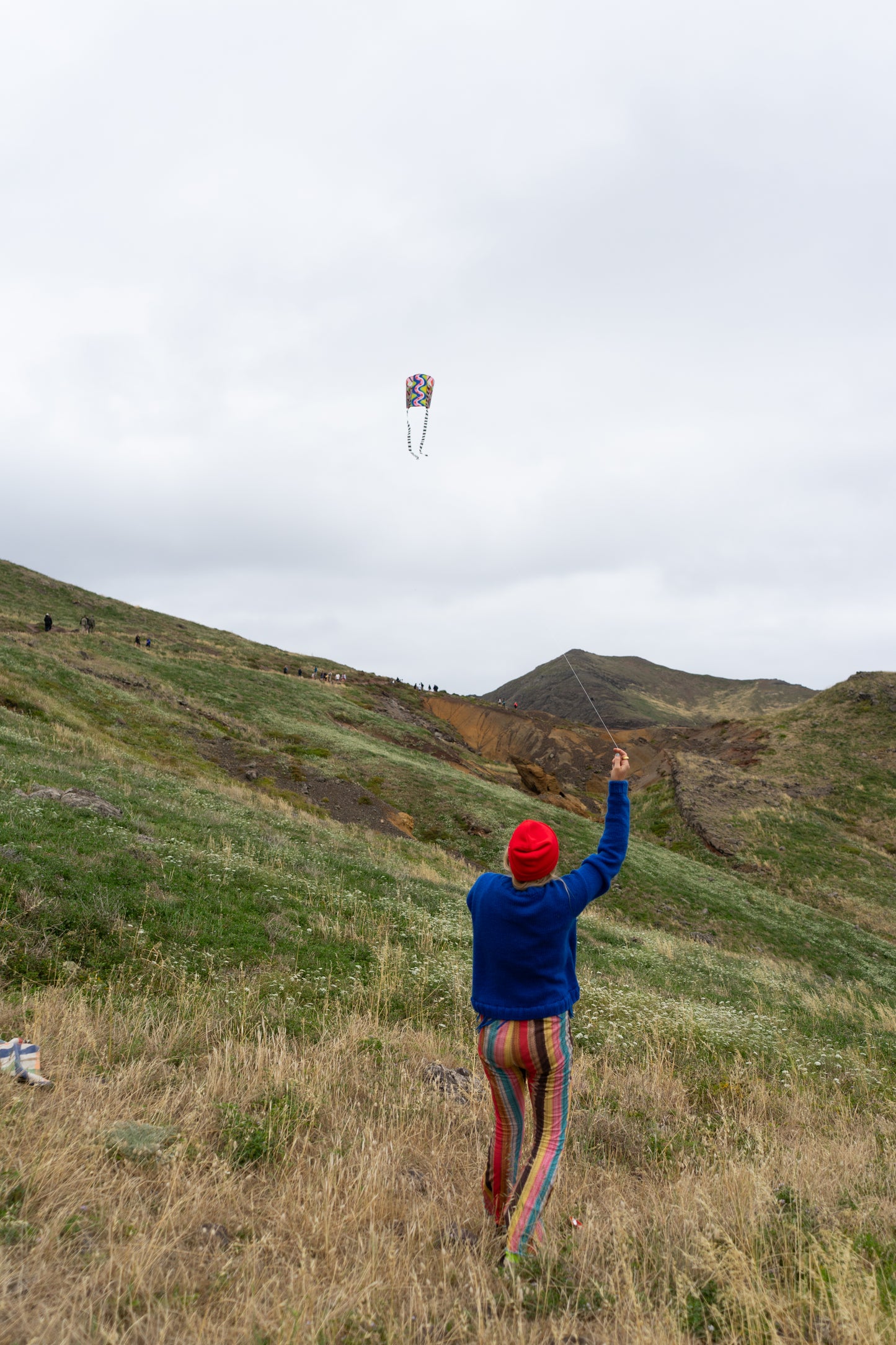 POCKET KITE / SPEEDY