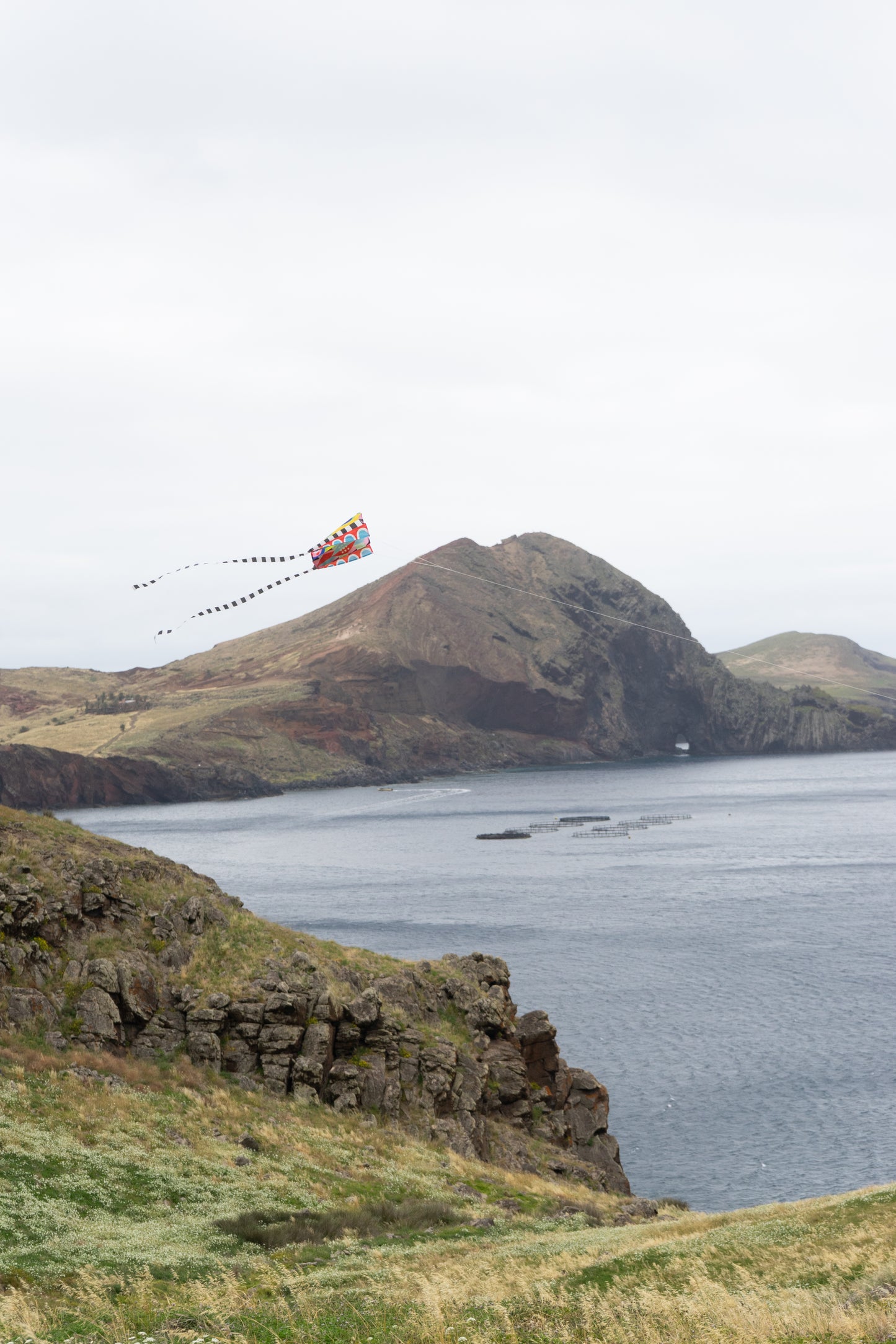 POCKET KITE / SPEEDY