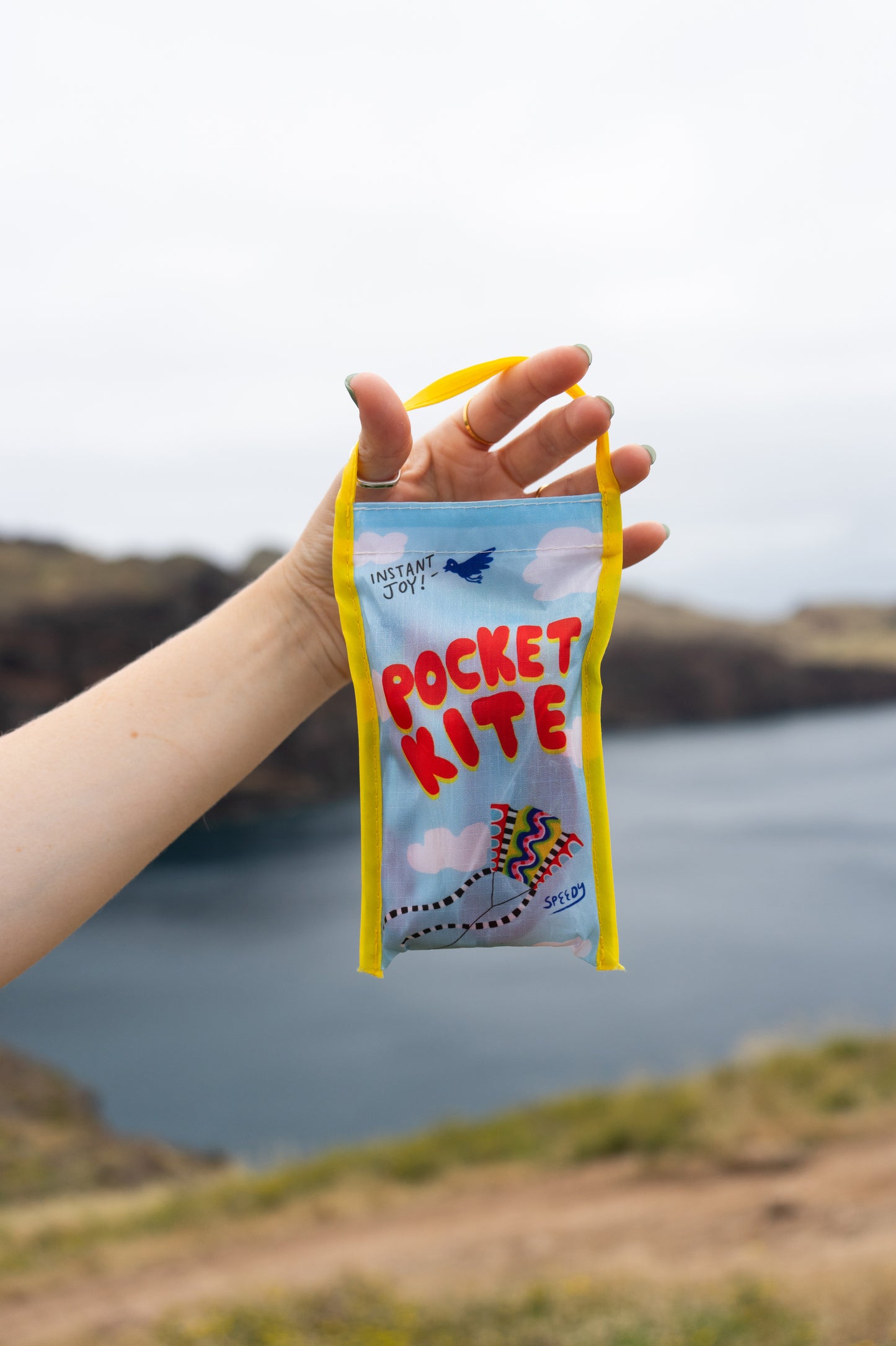 POCKET KITE / SPEEDY
