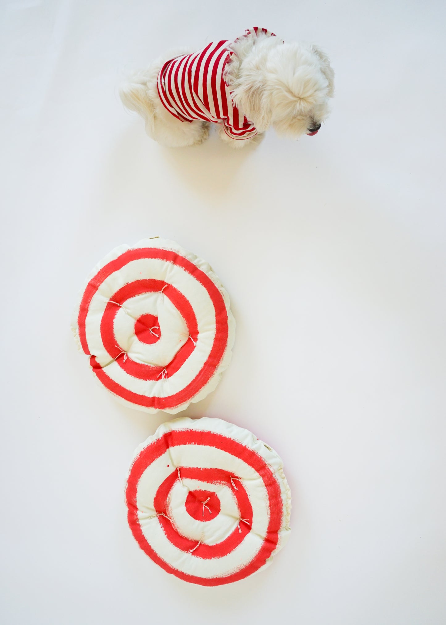 LIL' CIRCLE CLOUD CUSHION / BULLSEYE